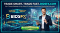 bidsfx.com - Redomained